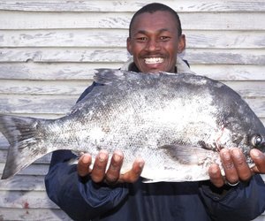 Galjoen van 2.25 kg by Brandfontein